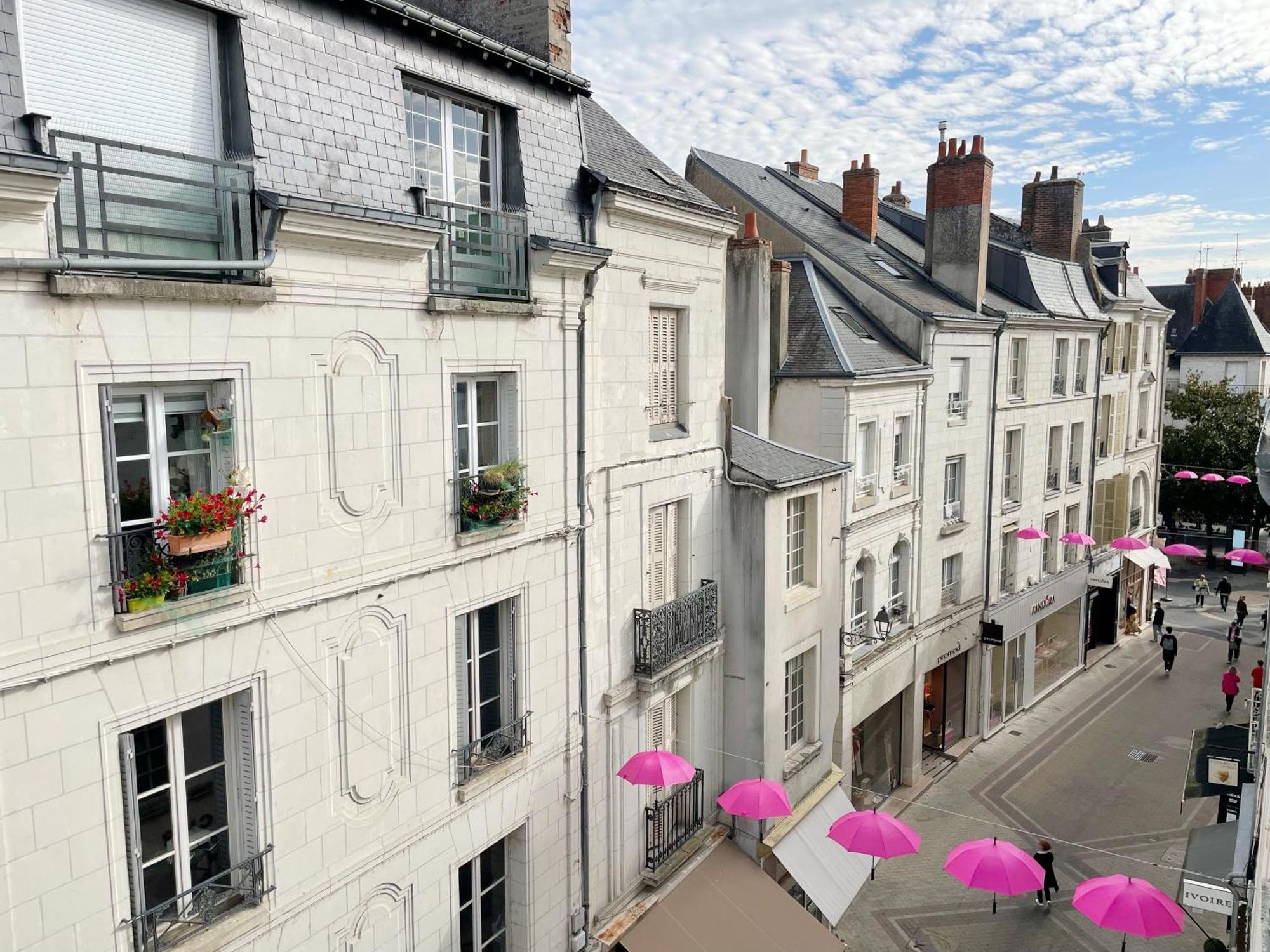 Magnifique Logement Au Pied Du Chateau Blois Exteriör bild